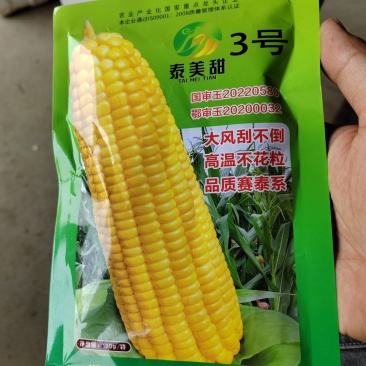 太阳花，泰糯玉米，种子，个头，高产，口感甜糯。