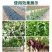 海藻鱼蛋白水溶肥水溶性肥料全水溶无残渣厂家直销
