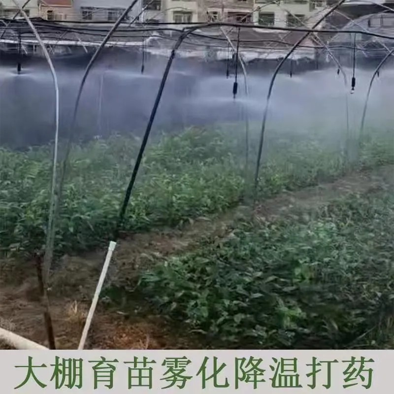 大棚微喷灌吊挂喷淋倒挂微喷农田微喷温室育秧育苗倒挂吊喷
