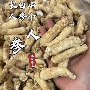 人参个白参人参干货整枝带须人参多种规格长白山人参