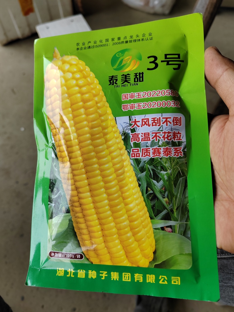 太阳花，泰糯玉米，种子，个头，高产，口感甜糯。