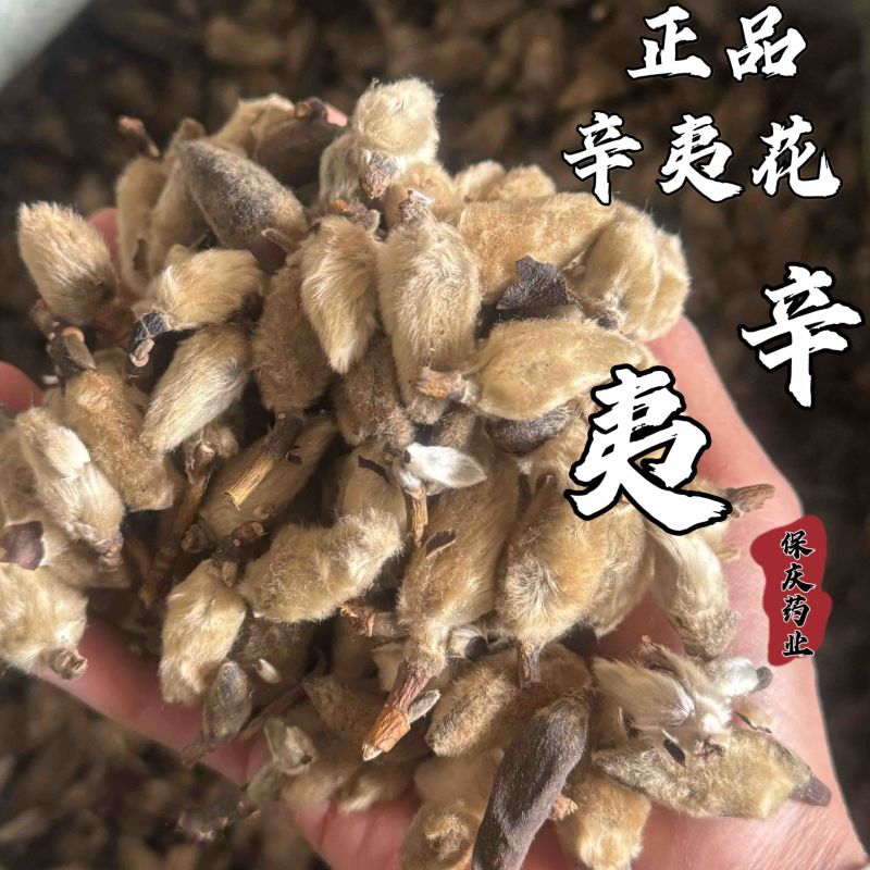 辛夷花辛夷毛桃保庆药业正品辛夷花实物拍摄