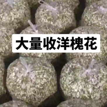 有5吨特价槐花需要的可以联系