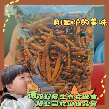 大麦虫食用