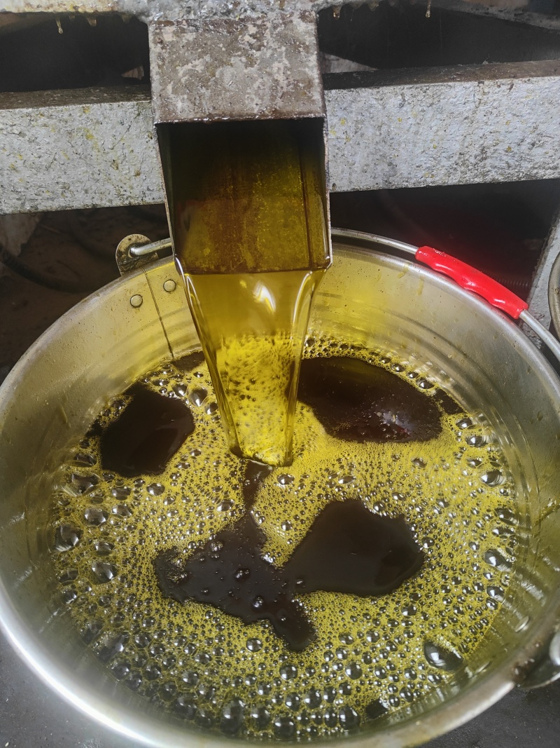 油菜籽