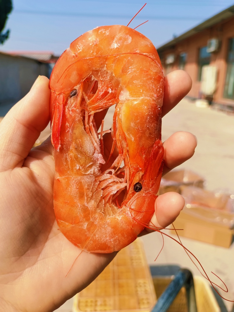 对虾批发，各种规格，现货供应，无冰衣，全国冷链物流发货