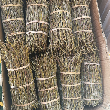 云南铁皮石斛干条，捆条，理条，芽尖条各种规格大小均有大货