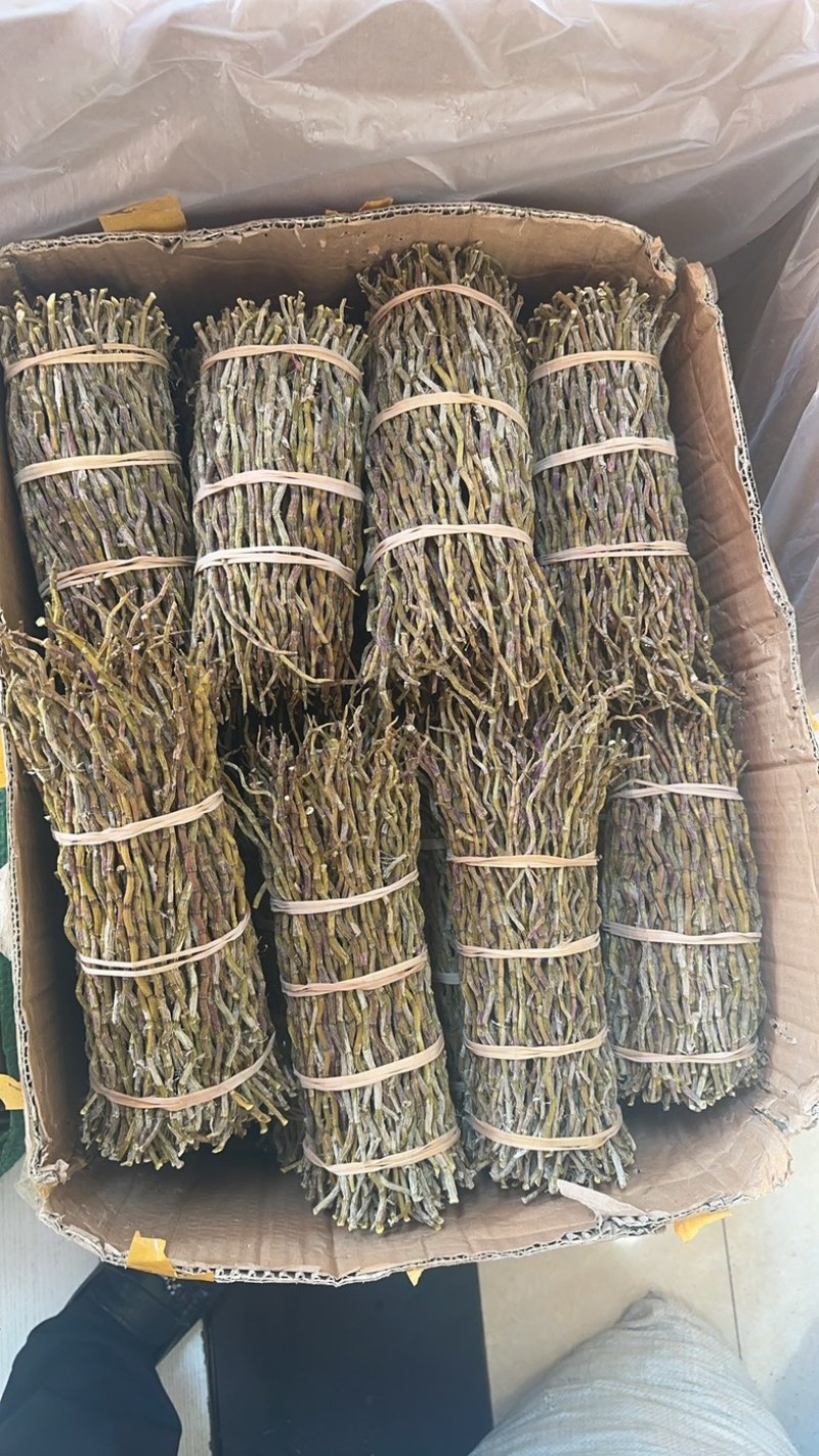 云南铁皮石斛干条，捆条，理条，芽尖条各种规格大小均有大货