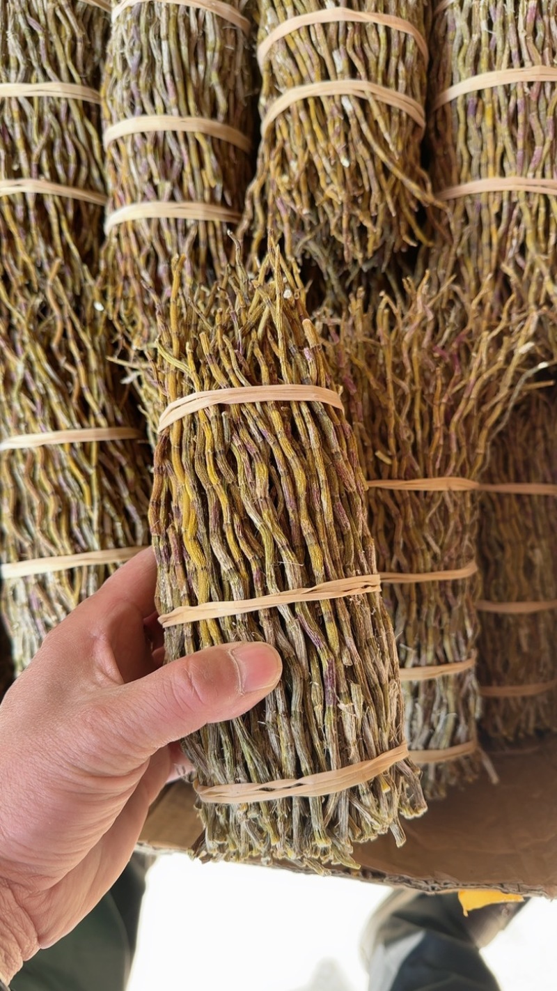 云南铁皮石斛干条，捆条，理条，芽尖条各种规格大小均有大货