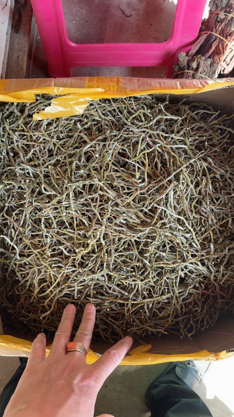 云南铁皮石斛干条，捆条，理条，芽尖条各种规格大小均有大货