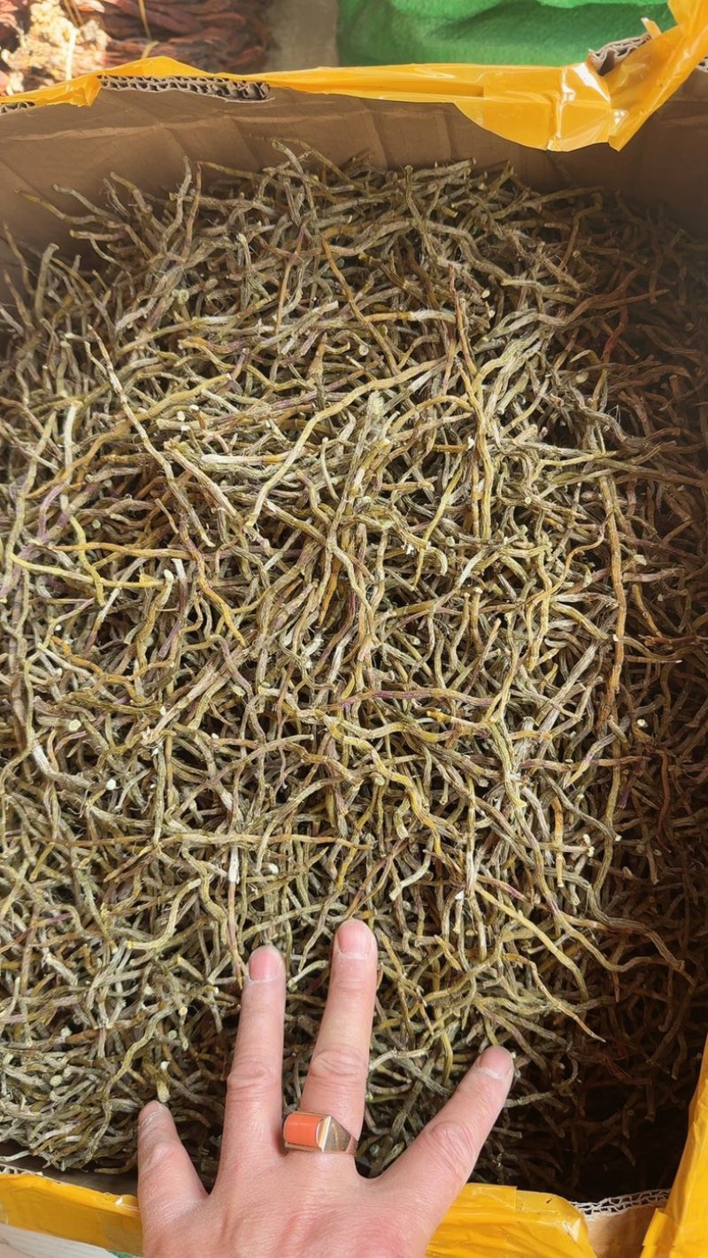 云南铁皮石斛干条，捆条，理条，芽尖条各种规格大小均有大货