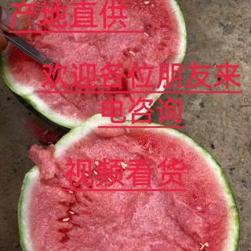 产地直供，小糖丸，甜王，美都，八成熟以上现摘视频看货