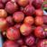 精品大棚油桃，48，4号，对接电商平台，供应水果市场