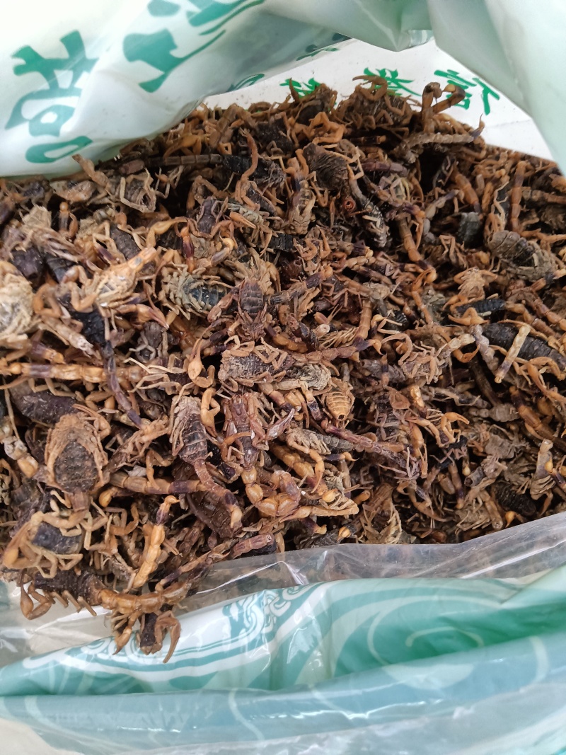 野生全虫