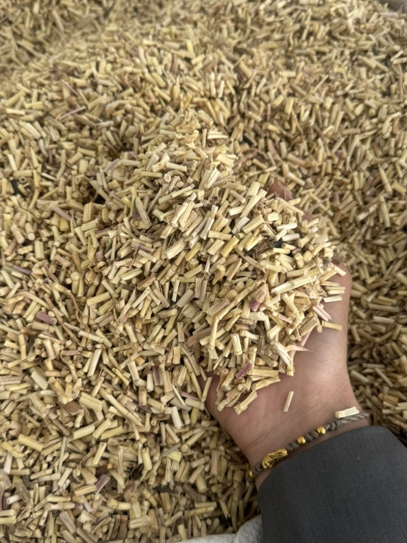 白茅根茅根保庆药业批发白茅根现货干净无杂质