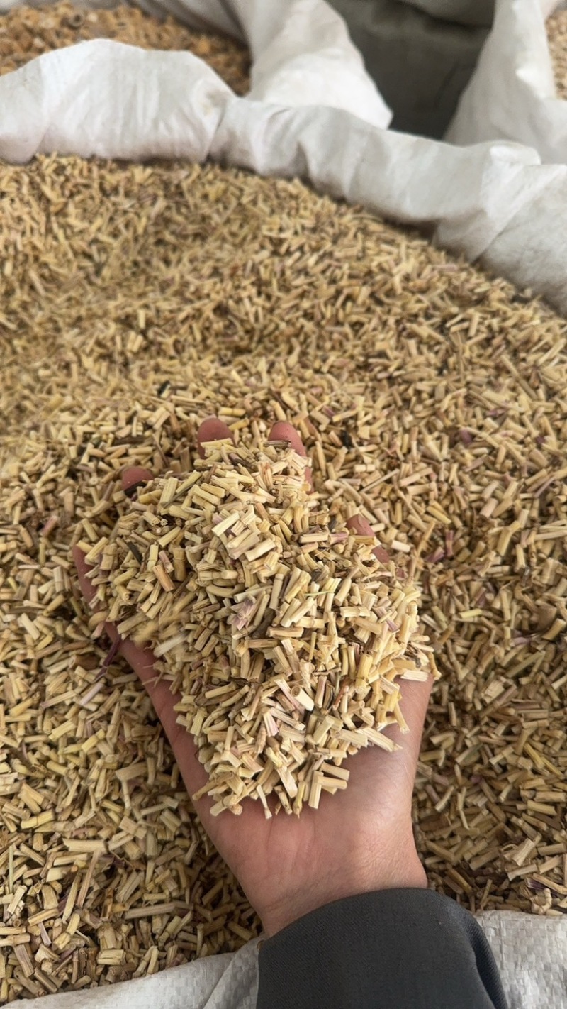 白茅根茅根保庆药业批发白茅根现货干净无杂质