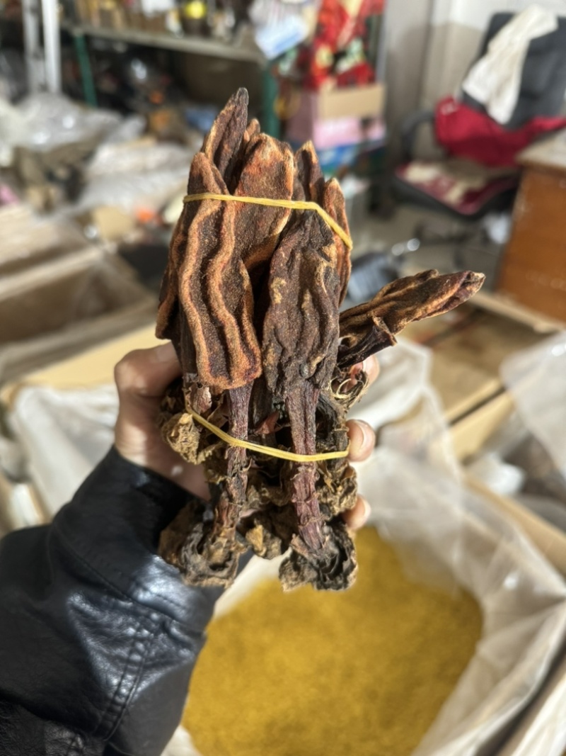 回春草顶天柱保庆药业回春草实拍现货干度好