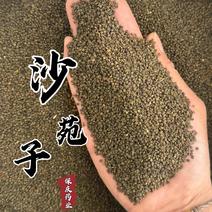 沙苑子实物拍摄沙蒺藜货干净莫贪便宜正品沙苑子