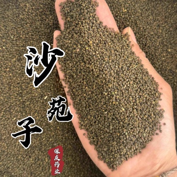 沙苑子正品大颗粒实物拍摄沙蒺藜货莫贪便宜水洗干净沙苑子
