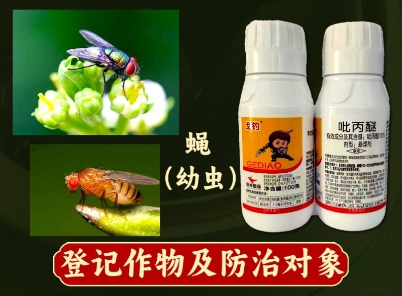 10%吡丙醚杀虫剂农药室外防治蝇幼虫杀蝇杀虫剂农药虫卵双