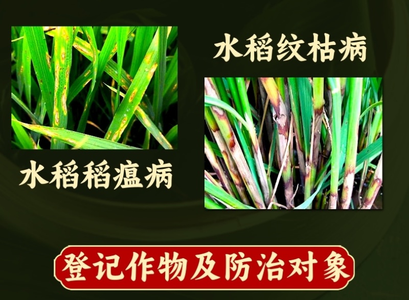 甲基硫菌灵杀菌剂500克纹枯病稻瘟病真菌病害内吸防治广谱