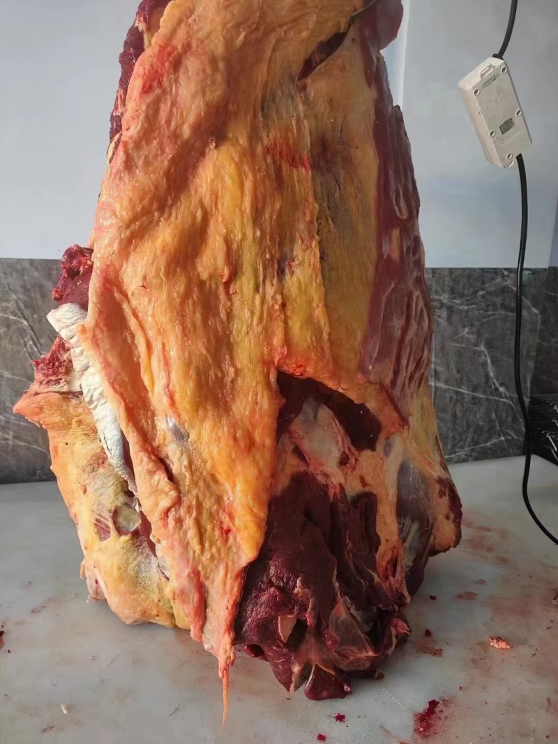 内蒙古锡林郭勒黄牛肉，纯草饲十斤一块，