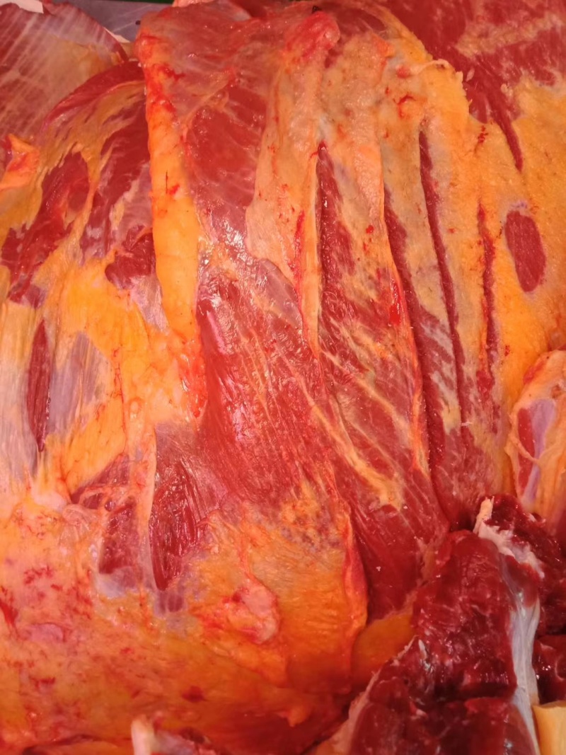 内蒙古锡林郭勒黄牛肉，纯草饲十斤一块，
