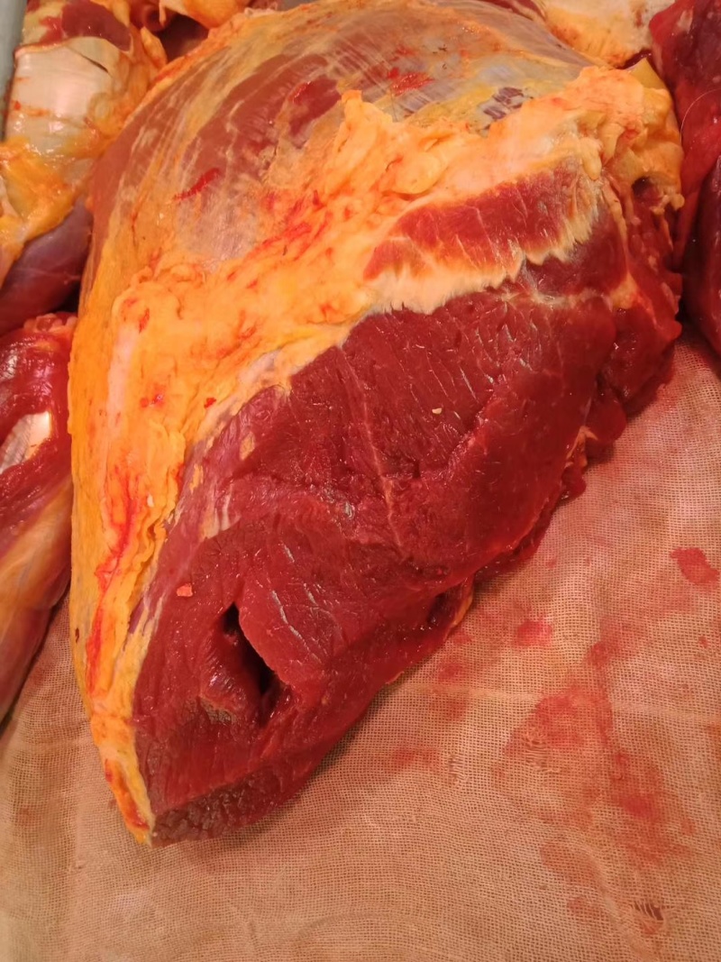 内蒙古锡林郭勒黄牛肉，纯草饲十斤一块，