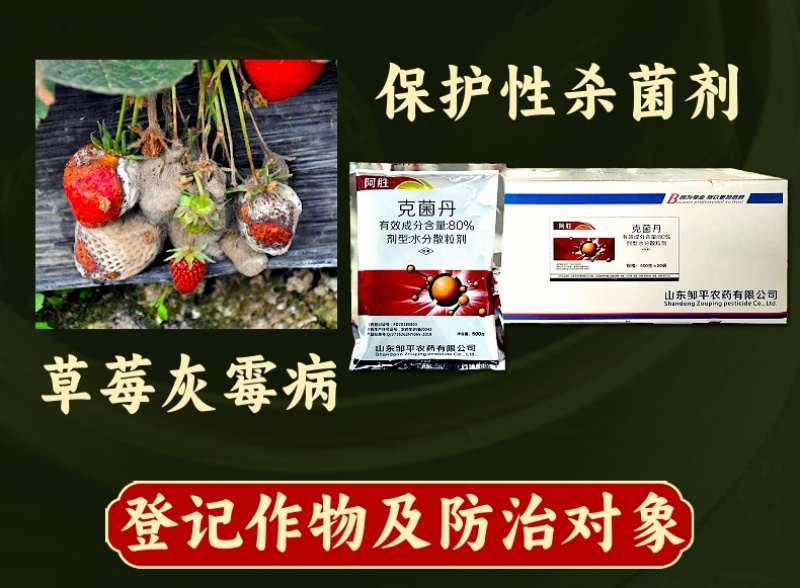 80%克菌丹杀菌剂农药草莓灰霉病柑橘果树农用杀菌药保护杀