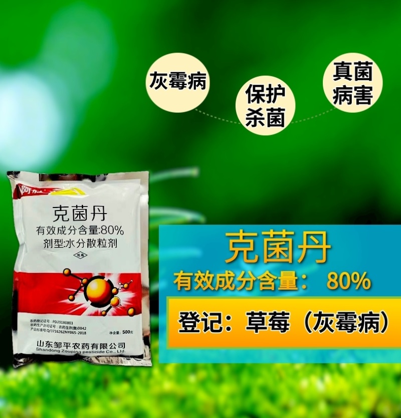 80%克菌丹杀菌剂农药草莓灰霉病柑橘果树农用杀菌药保护杀