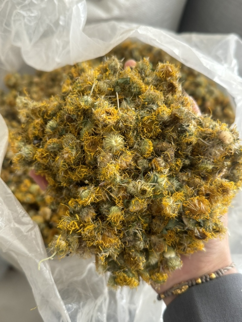 新货旋复花保庆药业无杂质旋复花实物拍摄旋覆花