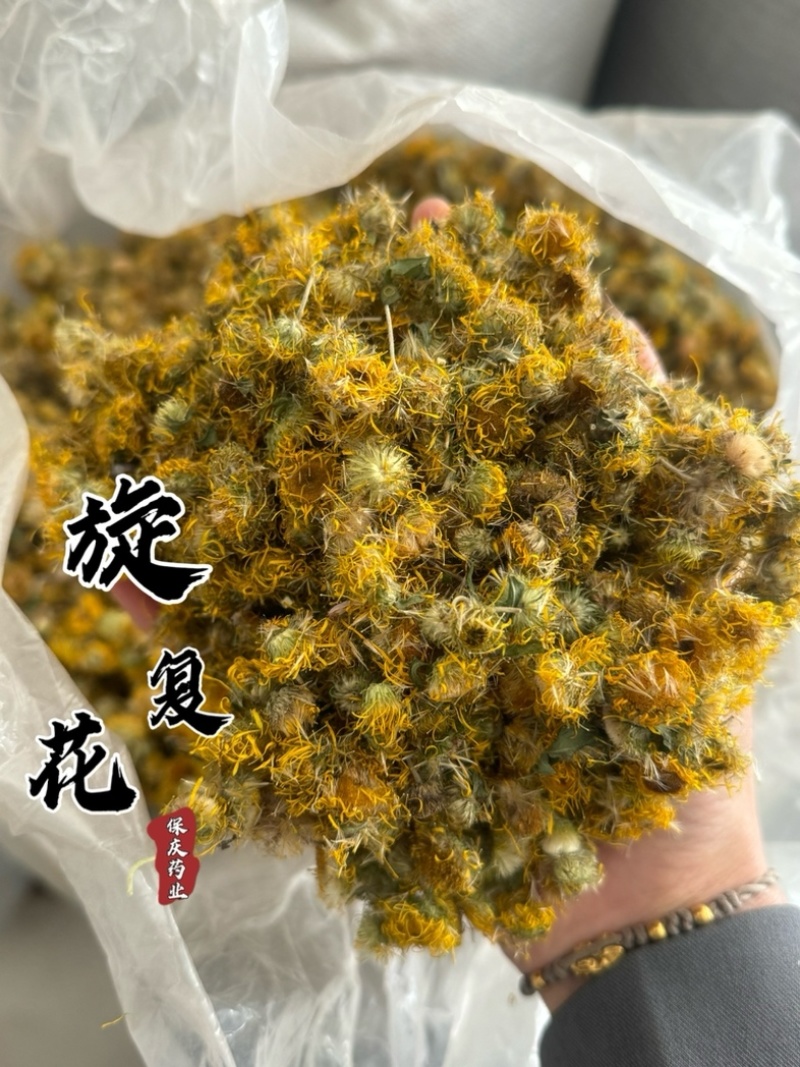 新货旋复花保庆药业无杂质旋复花实物拍摄旋覆花