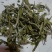柘荣高山白茶