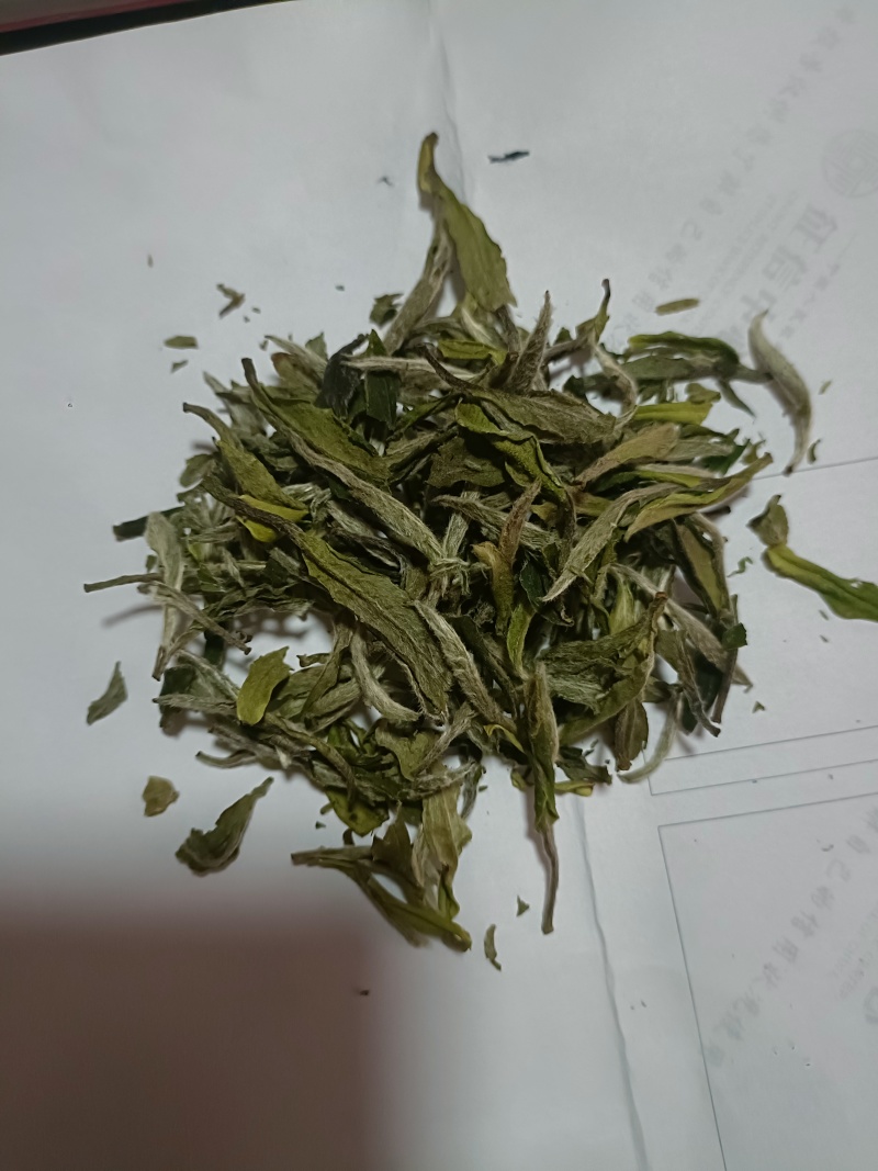 柘荣高山白茶