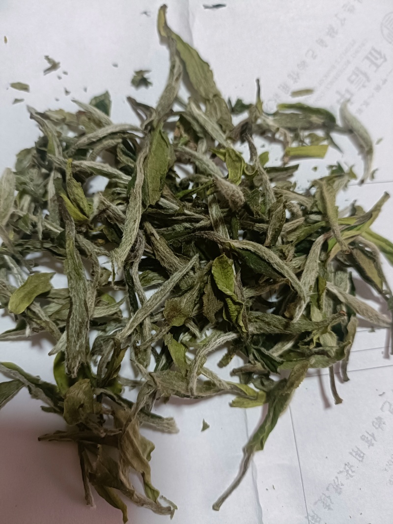 柘荣高山白茶