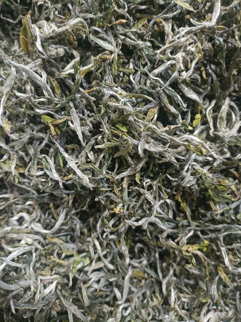 柘荣高山白茶