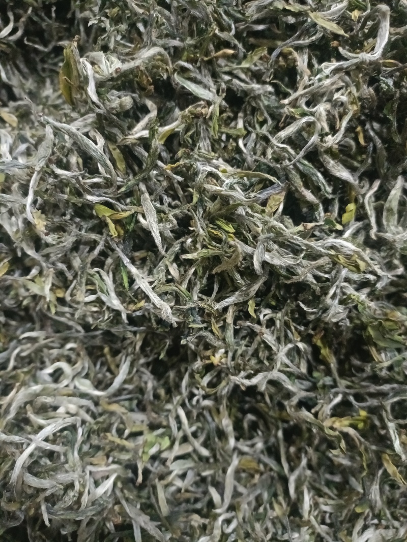 柘荣高山白茶