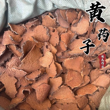 黄药子黄药跟干净无杂质黄药子实物拍摄
