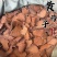 黄药子黄药跟干净无杂质黄药子实物拍摄
