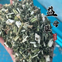 益母草坤草实拍产地直销新货泡脚包冲量价格