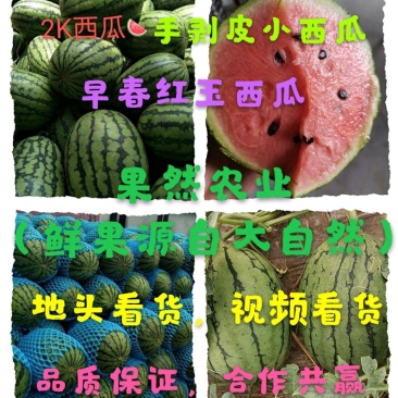 【推荐】小糖丸西瓜,山东2k西瓜,潍坊2K西瓜,诚信经营