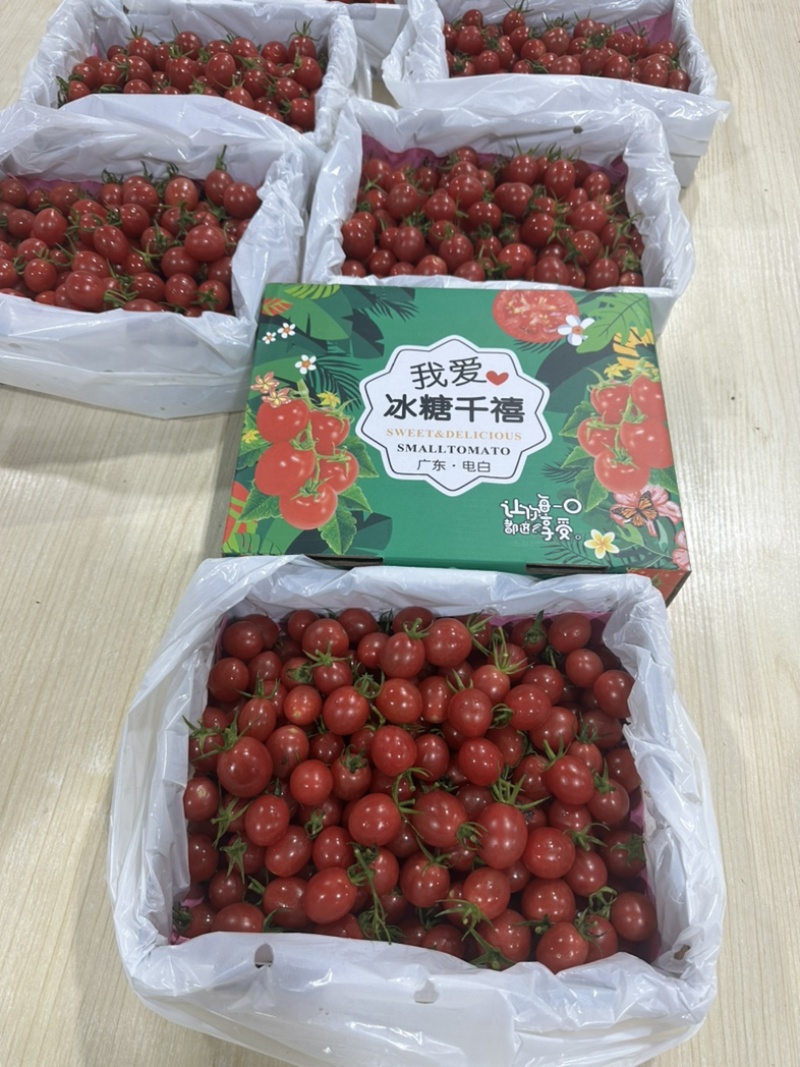 广东电白正宗老千嬉大量有货，超市市场大量有