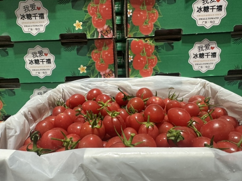 广东电白正宗老千嬉大量有货，超市市场大量有