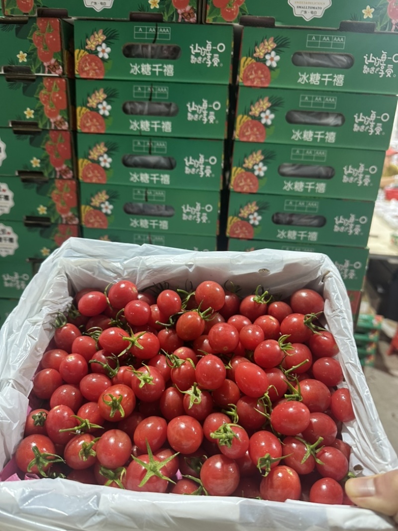 广东电白正宗老千嬉大量有货，超市市场大量有