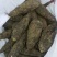 入地老鼠丶紫茉莉根丶清热散结丶煲瘦肉汤丶味道好