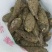 入地老鼠丶紫茉莉根丶清热散结丶煲瘦肉汤丶味道好