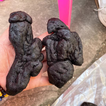 黄精九蒸九晒黄精干中药材九华山特产黄精糯头
