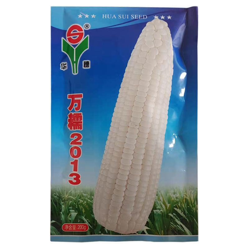 华穗万糯2000万糯2013穗子口味佳糯苞米粘糯玉米种子