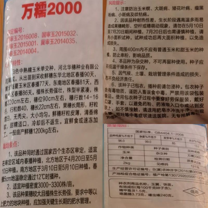 华穗万糯2000万糯2013穗子口味佳糯苞米粘糯玉米种子