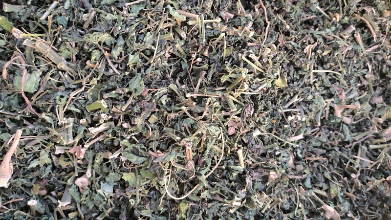 龙葵中药材批发龙葵质量保证量大从优